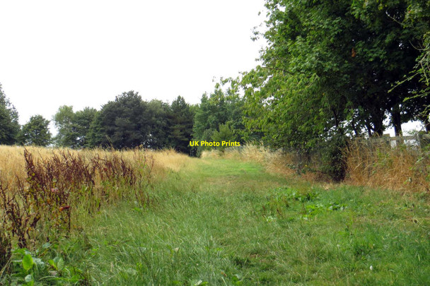 Photo 6"x4" The footpath by Farmoor Reservoir Filchampstead c2013