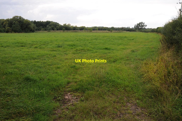 Photo 6"x4" Field near Rous Lench Ab Lench c2013