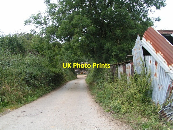 Photo 6"x4" Lane to Sandpit Mill Farm Burstock c2013