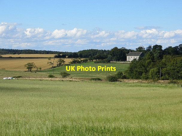 Photo 6"x4" Cameron Kirk Radernie\/NO4709 c2013