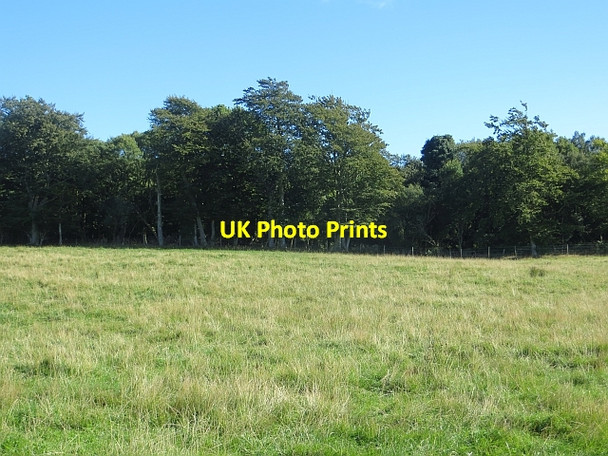 Photo 6"x4" Chance Inn Wood Radernie\/NO4709 c2013