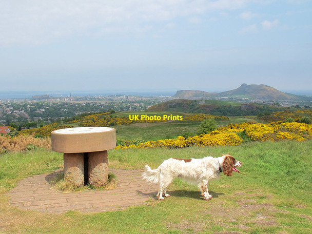 Photo 6"x4" Toposcope with spaniel Comiston c2013