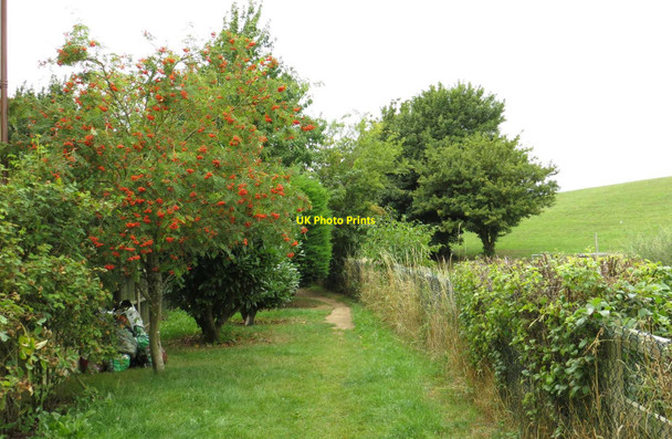 Photo 6"x4" Footpath to the River Thames Filchampstead c2013
