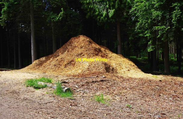 Photo 6"x4" Pile of woodshavings in Eymore Wood, near Trimpley, Worcs Holbeache c2010