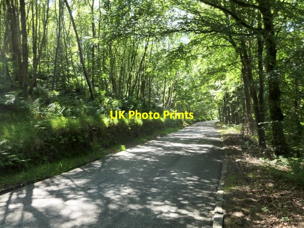 Photo 6"x4" Carman Road Ardoch\/NS3676 c2013