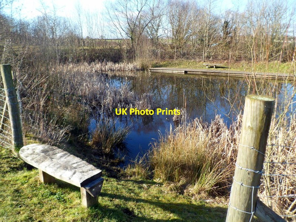 Photo 6"x4" Pond in Parc Penallta Ystrad Mynach c2012