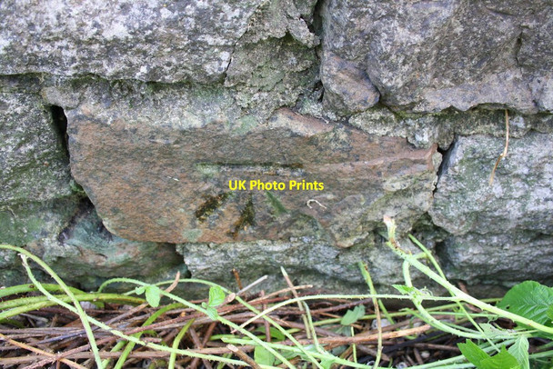 Photo 6"x4" Benchmark on roadside wall opposite track to Carnaby House Patrick Brompton c2013