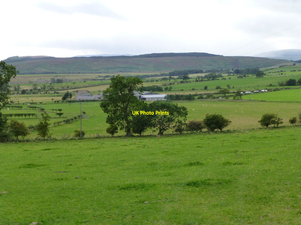 Photo 6"x4" Shipley Smallburns South Charlton c2013