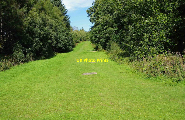 Photo 6"x4" A ride in wood near Trimpley Reservoir, Worcs Holbeache c2010