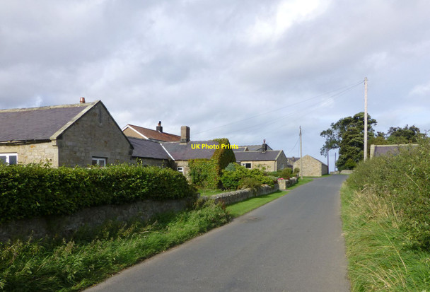 Photo 6"x4" South Charlton Farm South Charlton c2013