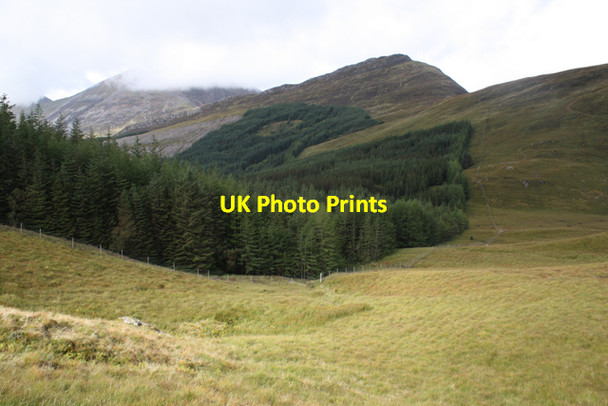 Photo 6"x4" Plantation south of Sgorr a'Choise Meall Lighiche c2013