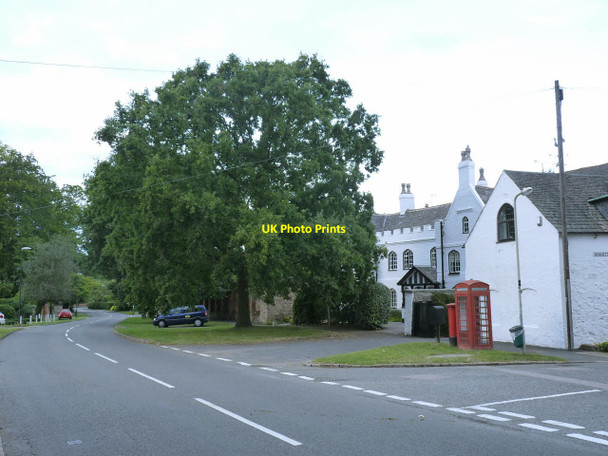 Photo 6"x4" Cossington Coronation Oak, George VI Cossington\/SK6013 c2013