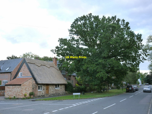 Photo 6"x4" Cossington Coronation Oak, George V and Thatched Cottage Cossington\/SK6013 c2013