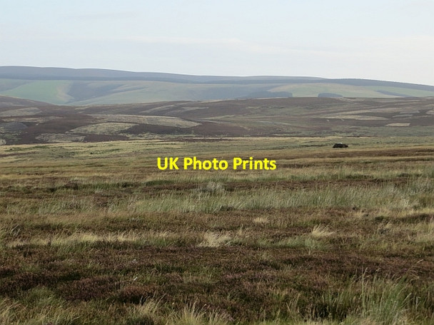 Photo 6"x4" Moorland north of Wether Law Cranshaws c2013