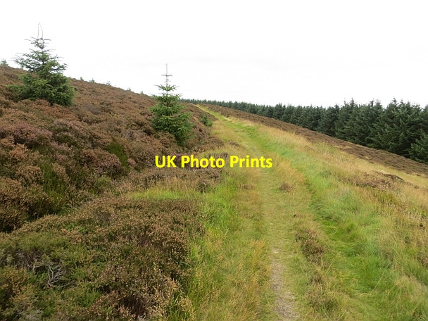 Photo 6"x4" Minchmoor Road Hangingshaw\/NT3930 c2013