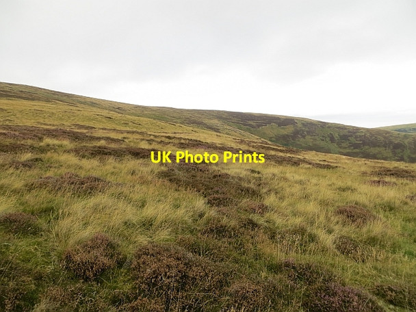 Photo 6"x4" Moorland, Brown Knowe Hangingshaw\/NT3930 c2013