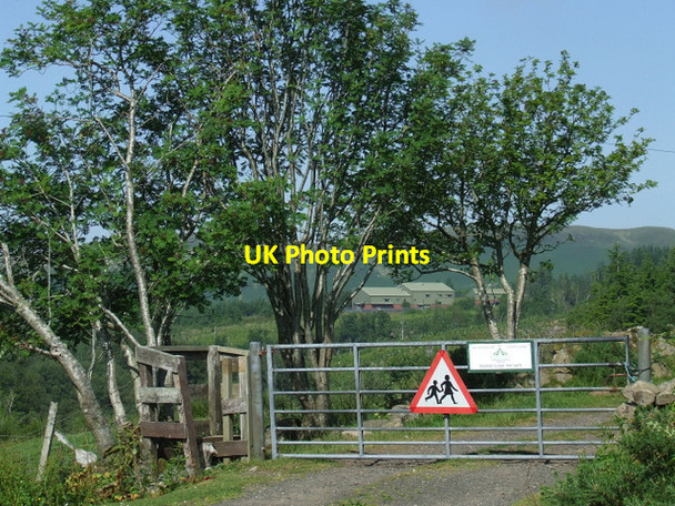 Photo 6"x4" Track leading to Everton Scout Camp Inverkip c2013