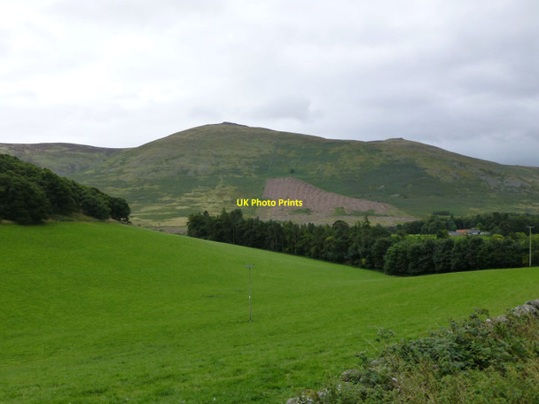 Photo 6"x4" Pasture and forest Westnewton\/NT9030 c2013
