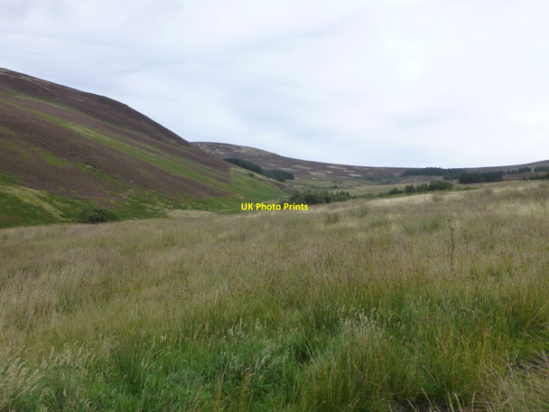 Photo 6"x4" This way to Langleeford Lambden Burn\/NT9123 c2013