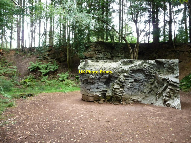 Photo 6"x4" Former quarry on the Beechenhurst Sculpture Trail Cannop c2013