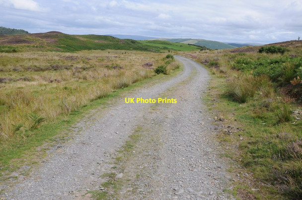 Photo 6"x4" Track and bridleway near Bwlch Coch Elan Village c2013