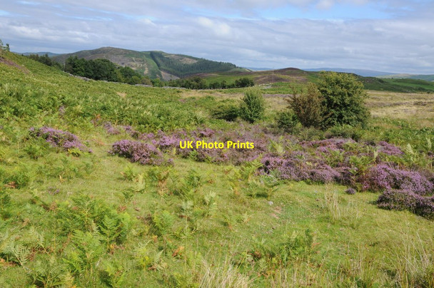 Photo 6"x4" Upland near Pen-y-rhiw Elan Village c2013