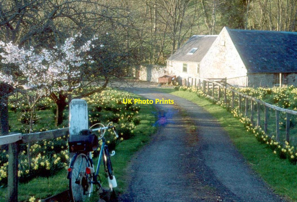 Photo 6"x4" The entrance to Bedrule Old Manse Bedrule c1980