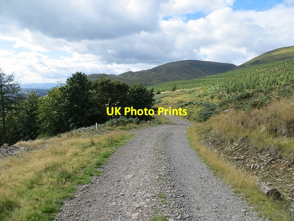 Photo 6"x4" Logging road, Hillfoot Hill Dollar c2013