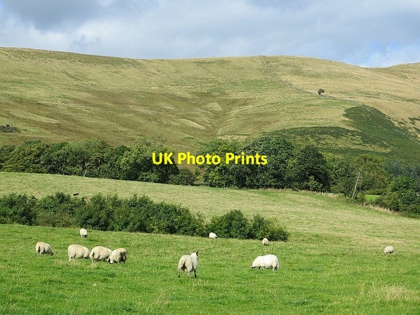 Photo 6"x4" Ochil scarp near Westerhall Dollar c2013
