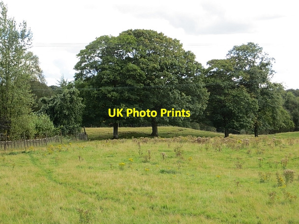 Photo 6"x4" Monarch Deer Park Crook of Devon c2013