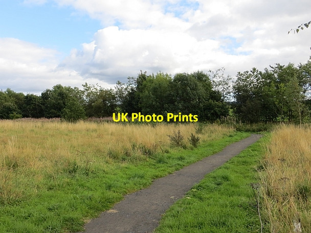 Photo 6"x4" Path, Crook of Devon Crook of Devon c2013