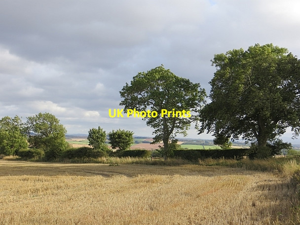 Photo 6"x4" Stubble, Sunnyside Auchencrow c2013