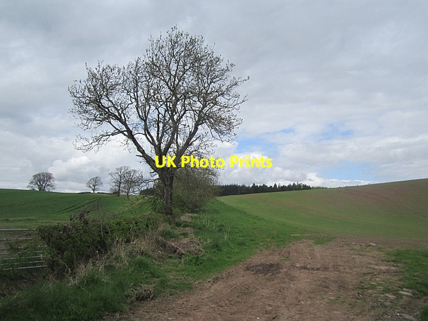 Photo 6"x4" Arable land near Strathallan Tullibardine c2013