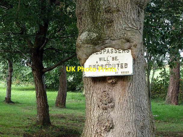 Photo 6"x4" The digesting continues Rhyd-yr-onnen c2013