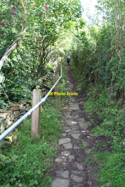 Photo 6"x4" Footpath near Riber Castle Matlock c2013
