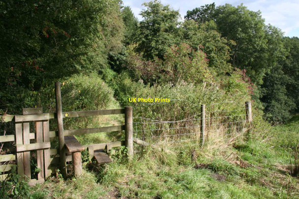 Photo 6"x4" Stile near Low Leas Farm Matlock c2013