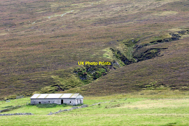 Photo 6"x4" West Scrafield, Baliasta Baliasta\/HP6009 c2013