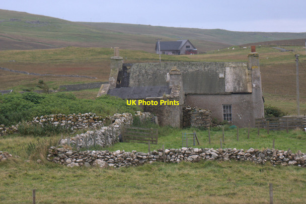 Photo 6"x4" Scraefield, Baliasta Baliasta\/HP6009 c2013