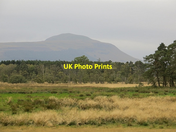 Photo 6"x4" Wetland, Rossie Dunshalt c2013