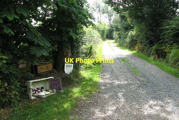 Photo 6"x4" Eggs and jams for sale at Fuel Farm Edgefield Street c2013