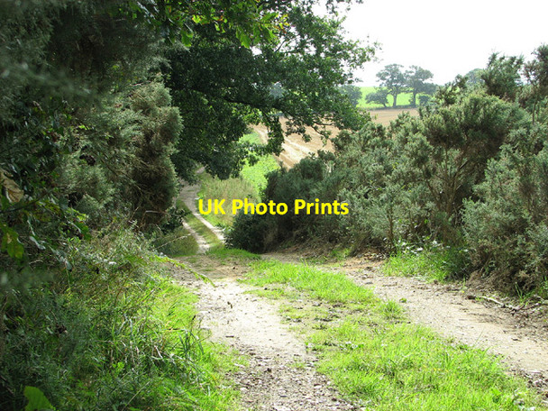 Photo 6"x4" Farm track skirting Barningham Green Plantation Barningham Green c2013