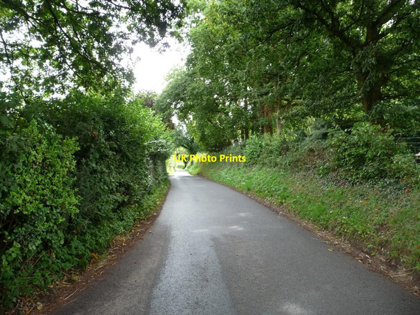Photo 6"x4" Cefn Mawr Lane, near Penpedairheol Penpedairheol\/SO3303 c2013