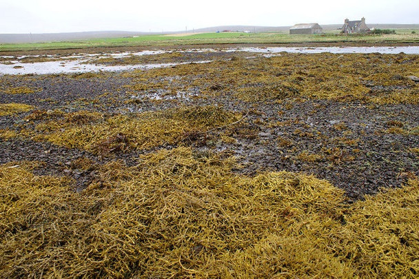 Photo 6"x4" The Houb, Baltasound Baltasound c2008