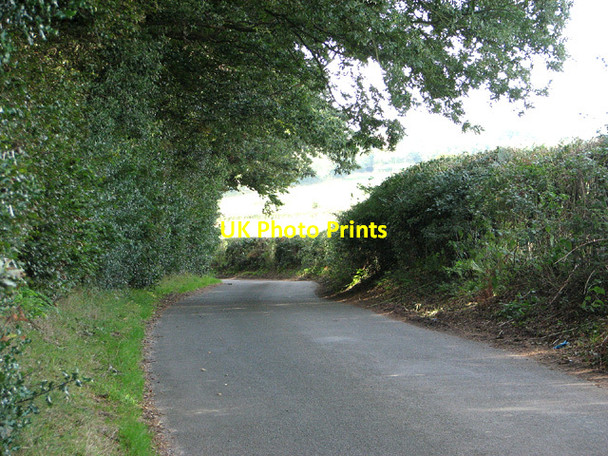 Photo 6"x4" Lane past Little Wood Edgefield\/TG0934 c2013