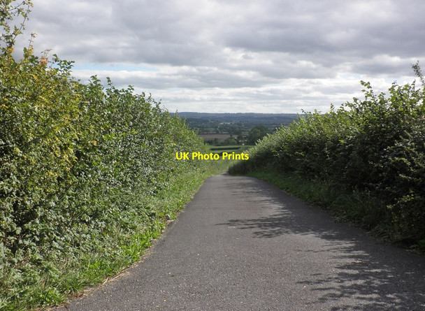 Photo 6"x4" Langford Lane Fivehead c2013