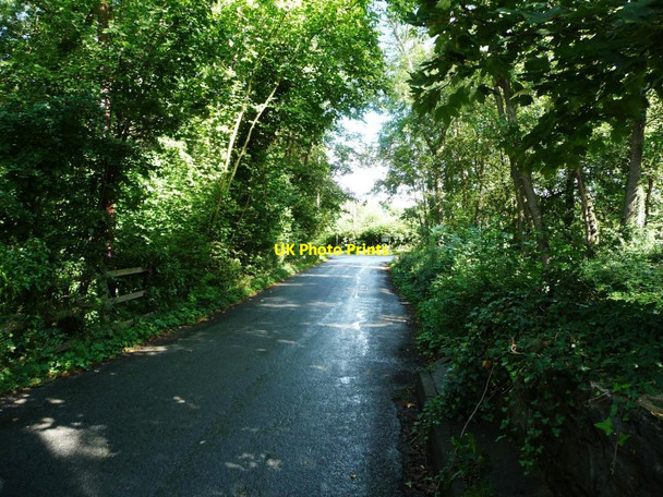 Photo 6"x4" The road from the A472 to Glascoed [2] Glascoed\/SO3301 c2013