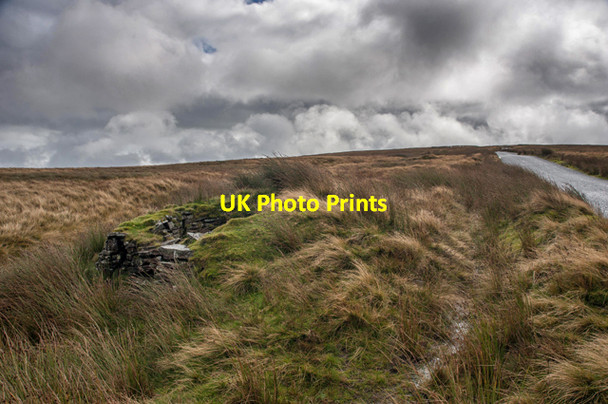 Photo 6"x4" Groues Butt Round Hill Bowland Knotts c2013