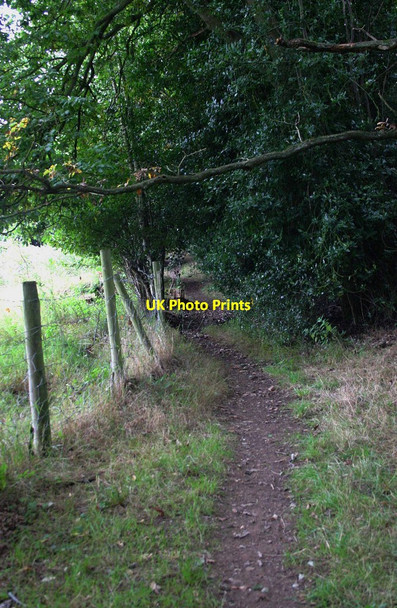 Photo 6"x4" Public footpath at the edge of Ribbesford Wood, near Bewdley, Worcs Burlish Park c2013