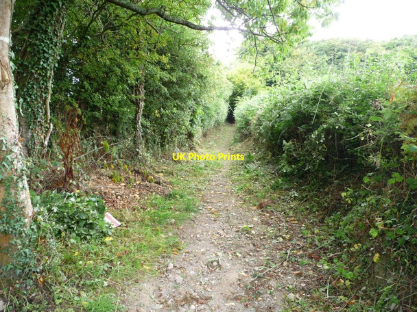 Photo 6"x4" Public footpath to Jenny's Bushes Glascoed\/SO3301 c2013