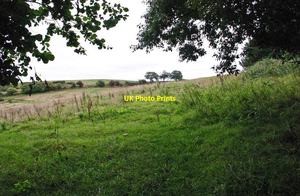 Photo 6"x4" Farmland adjacent to Ribbesford Wood, near Bewdley, Worcs Dunley\/SO7869 c2013